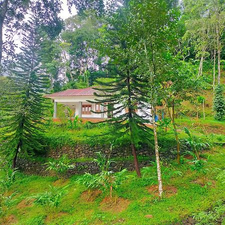 Anivilla Holiday Home Kunjithanny Anachal Bagian luar foto