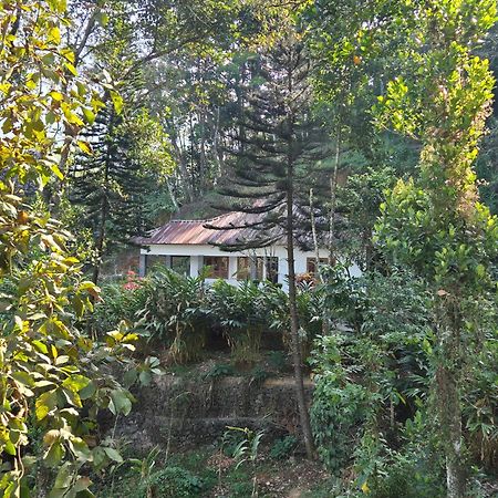 Anivilla Holiday Home Kunjithanny Anachal Bagian luar foto