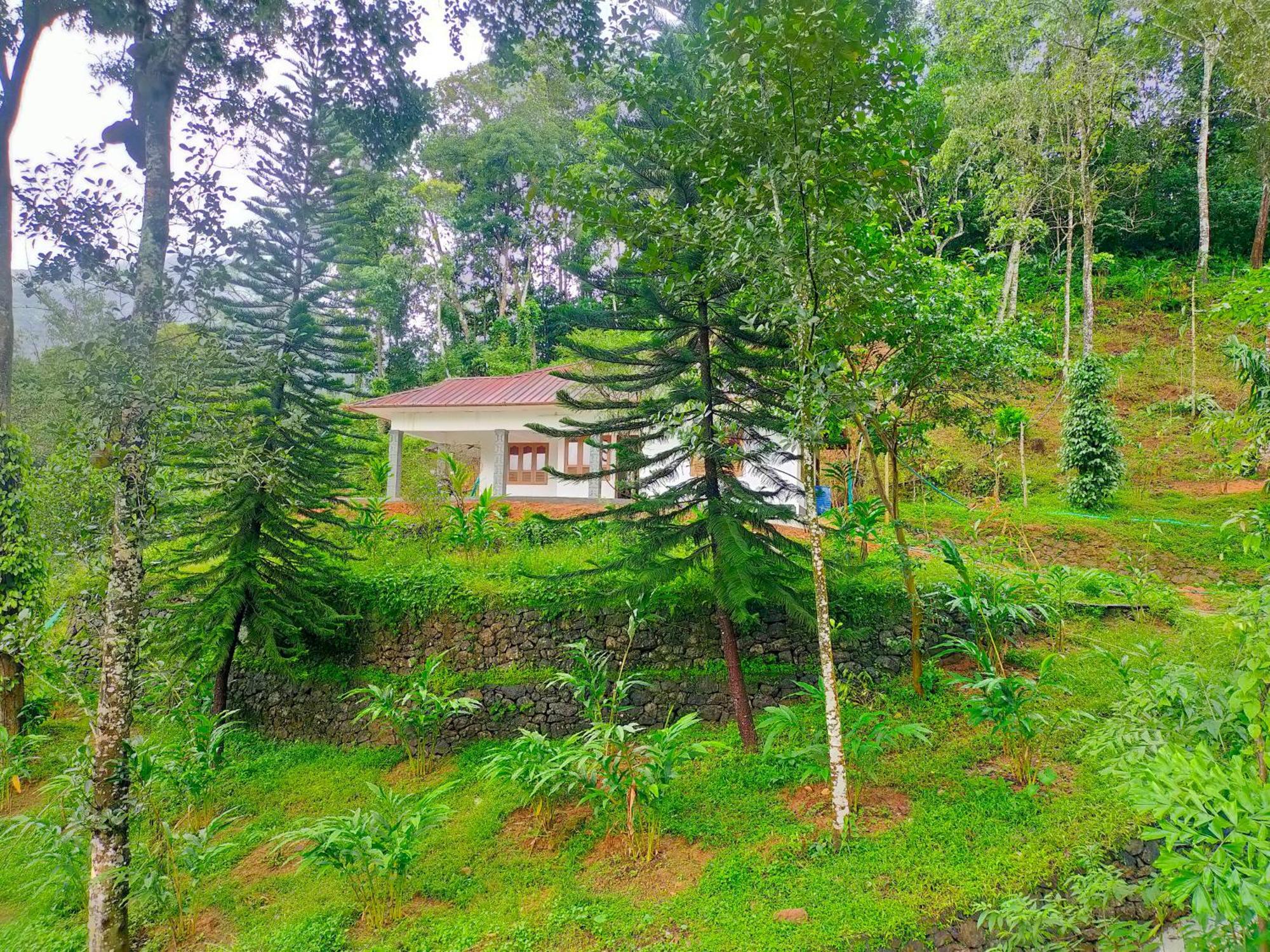 Anivilla Holiday Home Kunjithanny Anachal Bagian luar foto