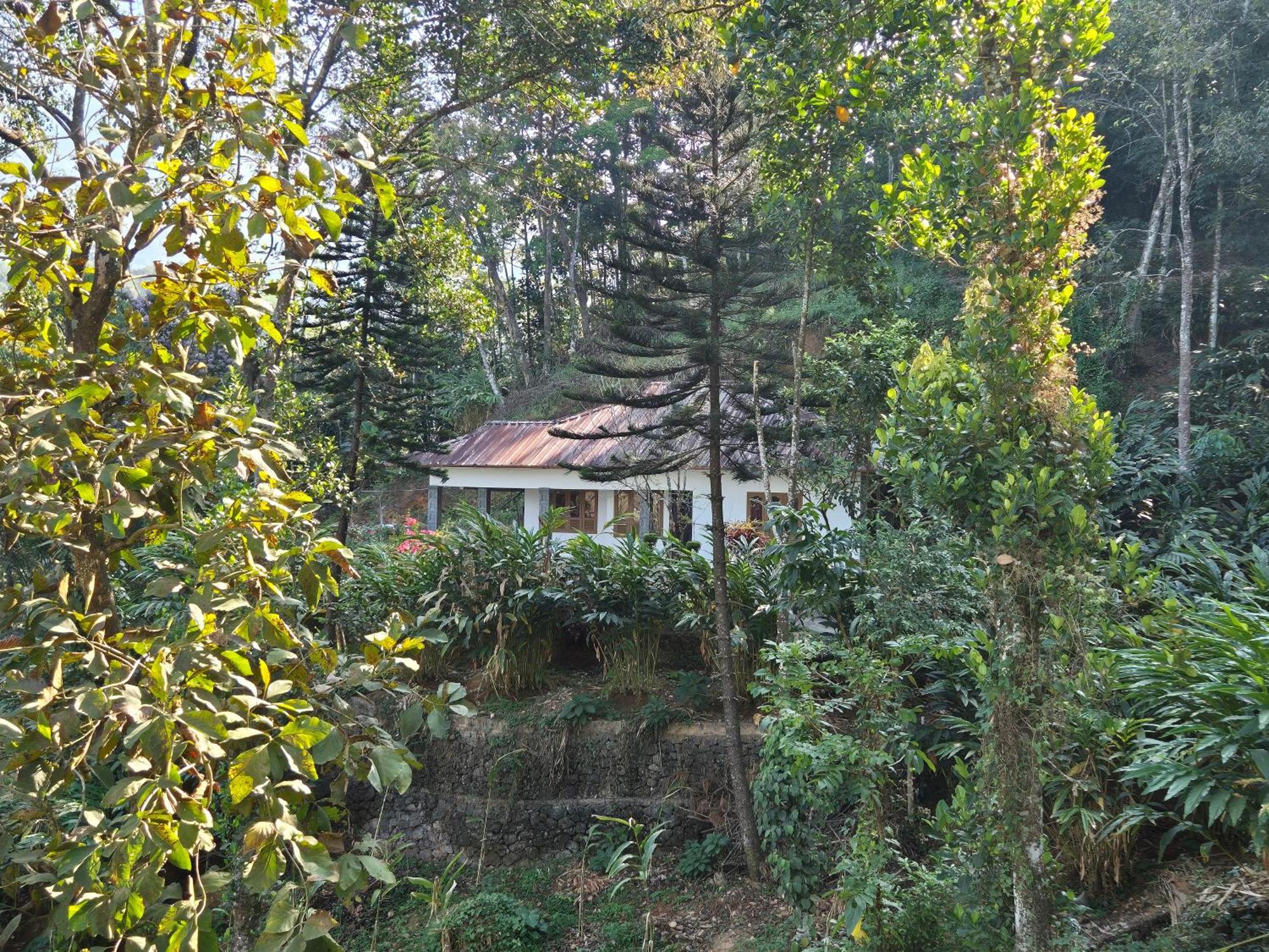 Anivilla Holiday Home Kunjithanny Anachal Bagian luar foto