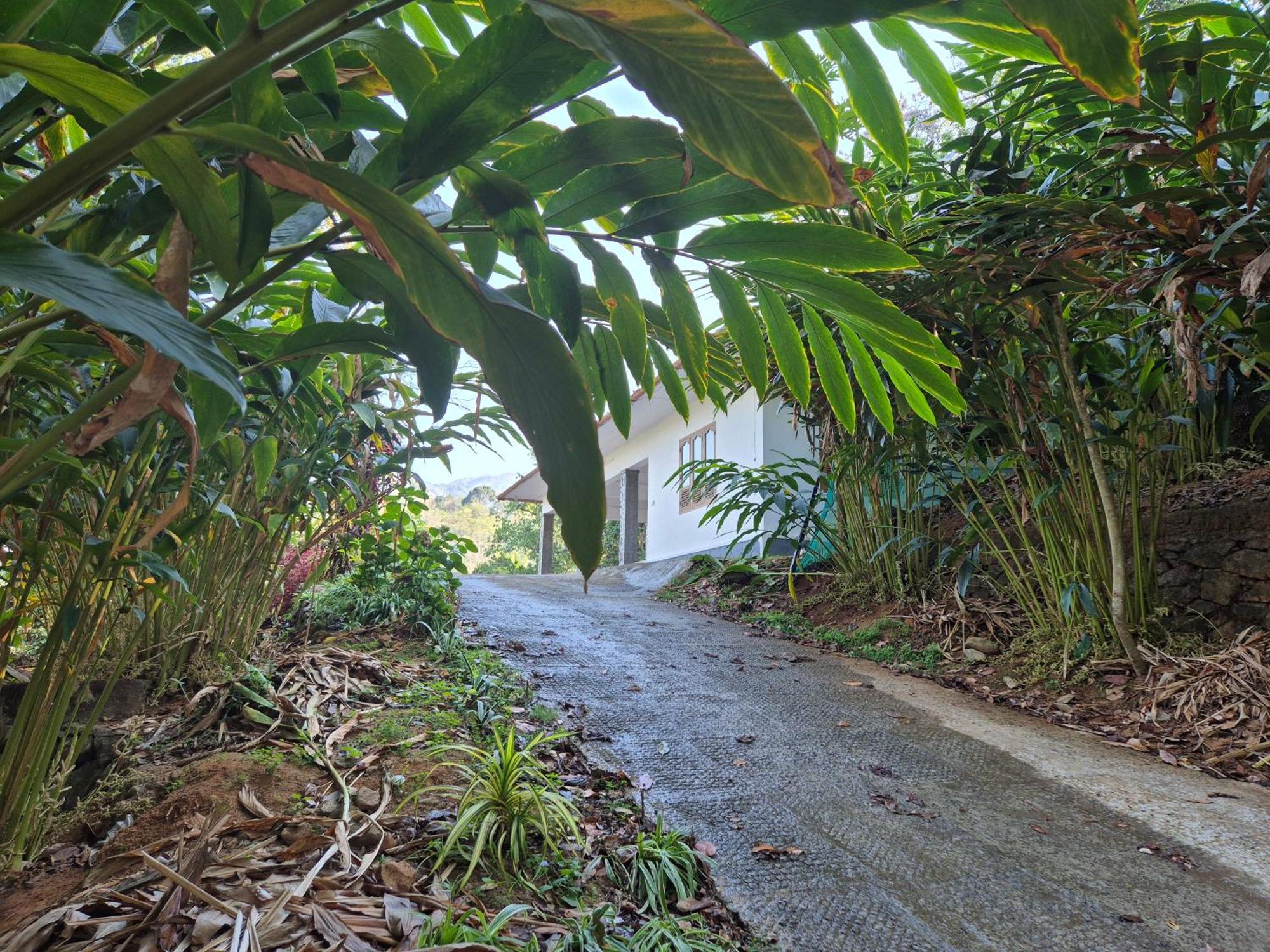 Anivilla Holiday Home Kunjithanny Anachal Bagian luar foto
