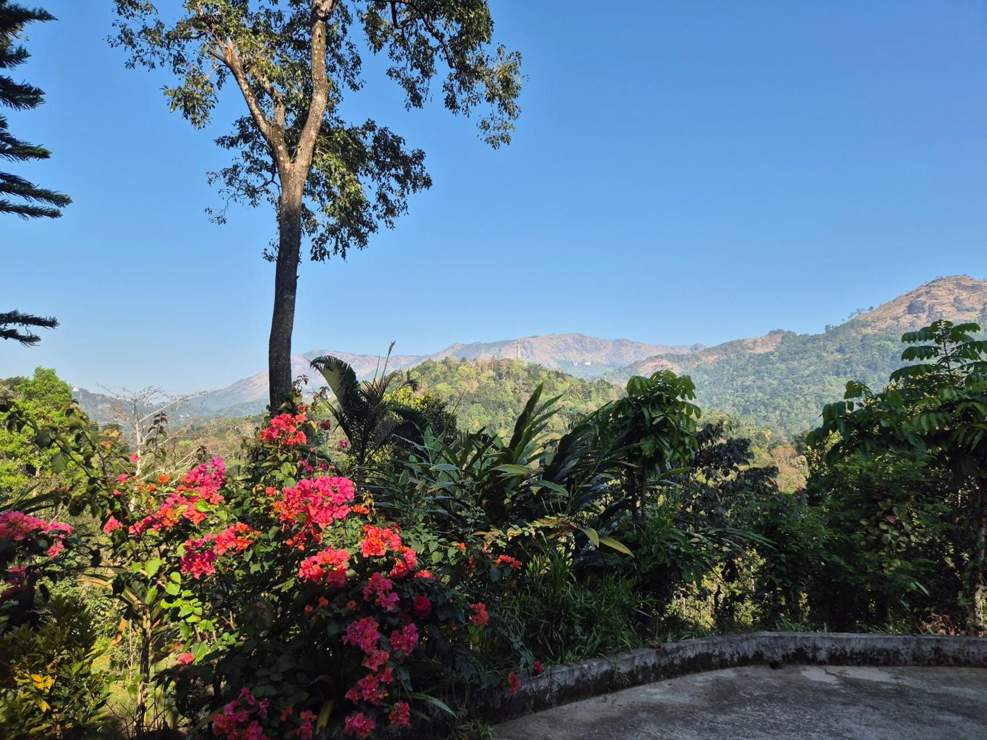 Anivilla Holiday Home Kunjithanny Anachal Bagian luar foto